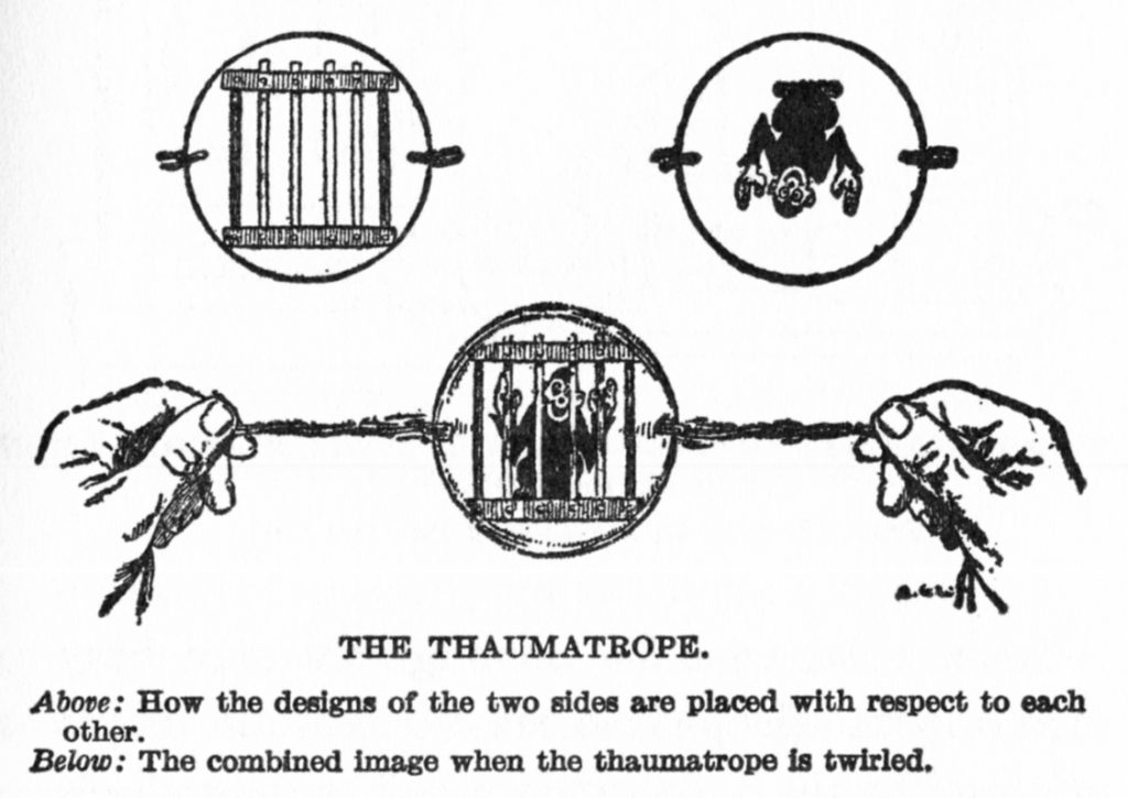 thaumatrope1